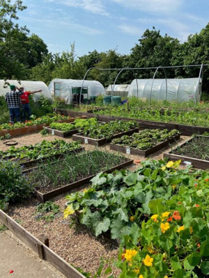 Best Communal Green Space winner - Stonebridge City Farm