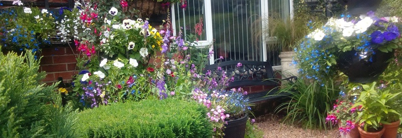 Best Garden Competition
