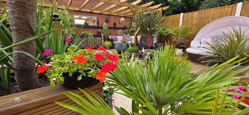 Picture of the Best Small Garden category winner