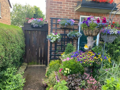 Picture of Michael Phillip Ryan's Best Small Garden winning garden
